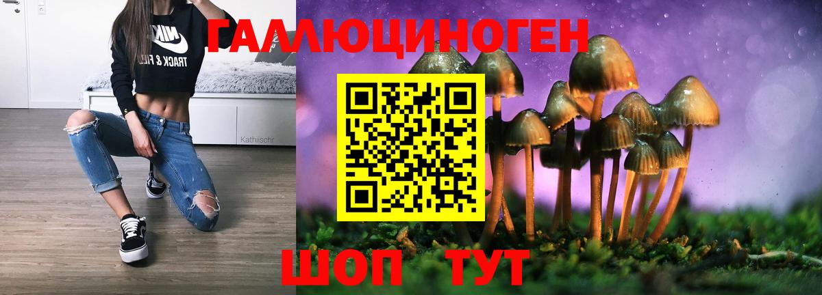 Галлюциногенные грибы прущие грибы Минеральные Воды